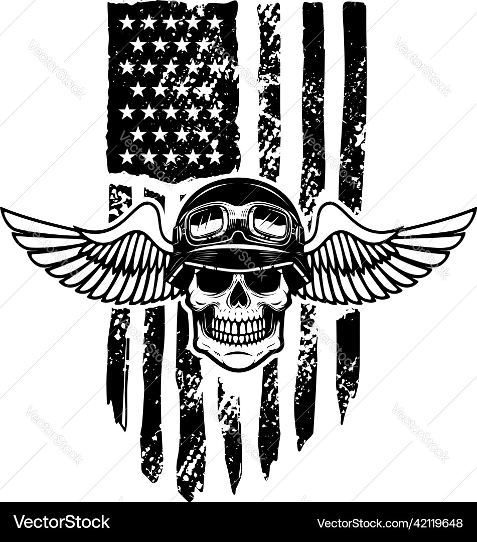 Skull Helmet American Flag Vector Image