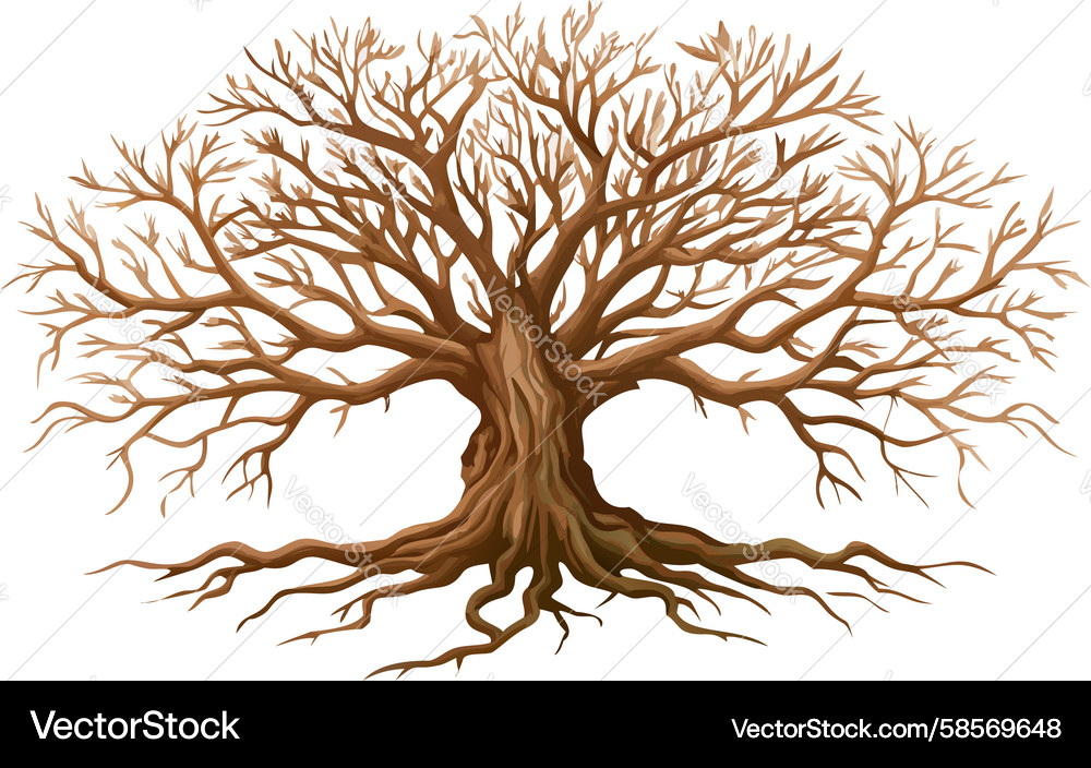 Strong Tree with Root System Vector Image