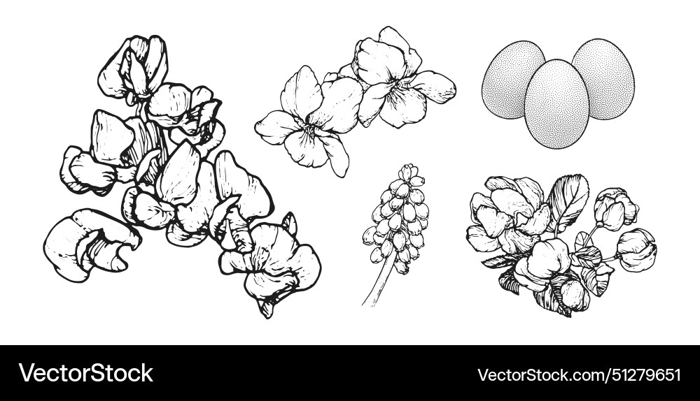 Graphical spring set isolated on white background Graphical spring set isolated on white background Vector Image