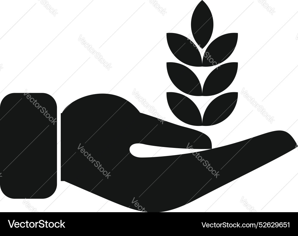 Hand holding wheat grain icon simple black style Hand holding wheat grain icon simple black style vector image