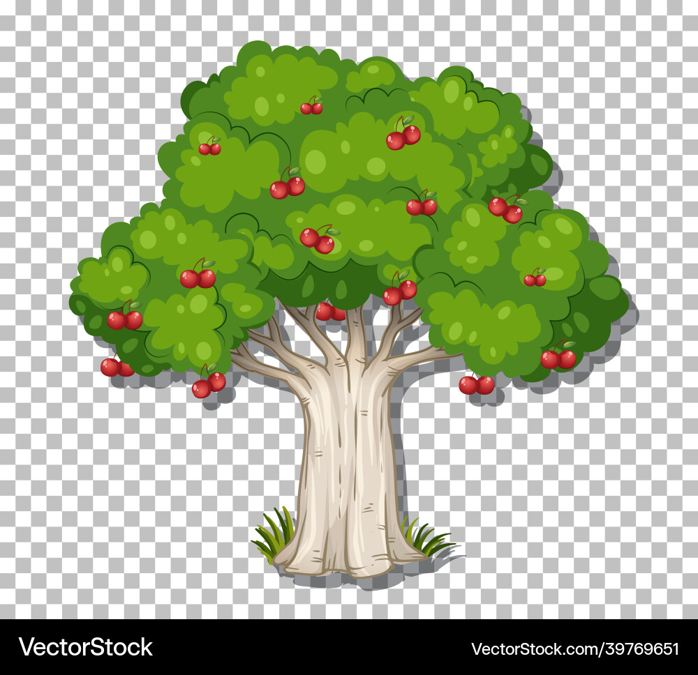 Tree on transparent background Vector Image