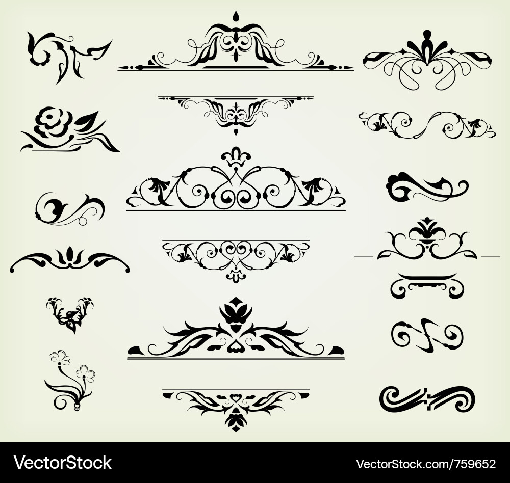 Calligraphic Flourishes & Ornaments vector image