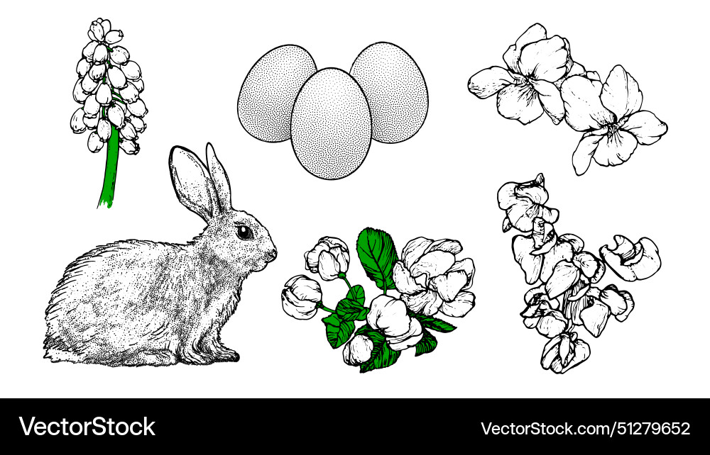 Graphical spring set isolated on white background Graphical spring set isolated on white background vector image