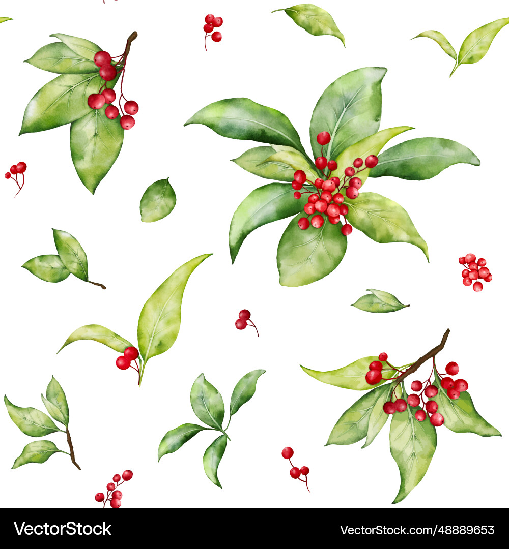 Watercolor Christmas Holly Pattern Vector Image