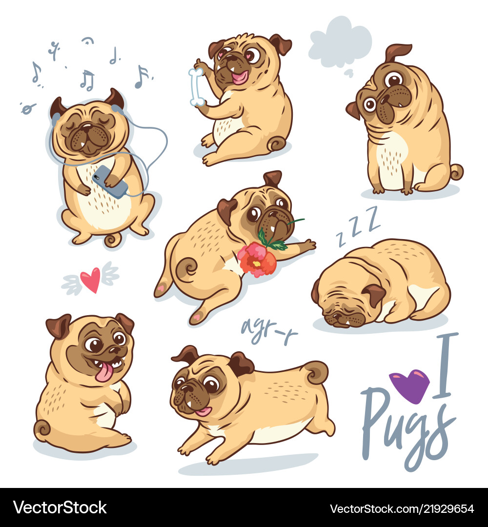 Adorable Pug Puppy Set vector image