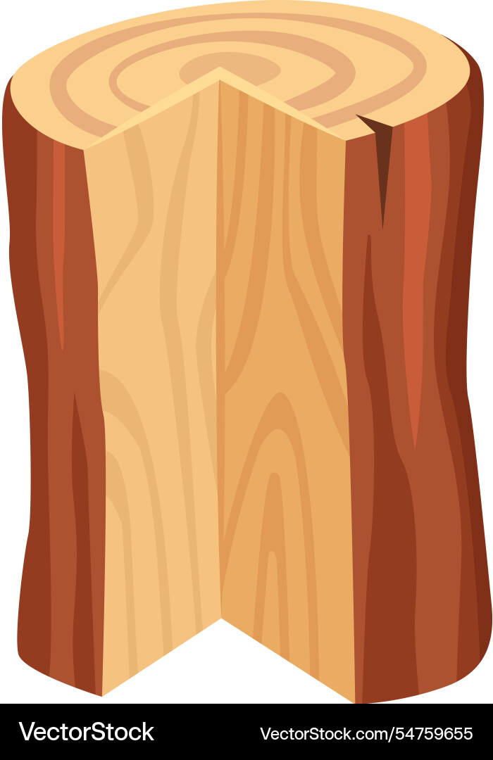 Cross section of a partially split log showcasing vector image