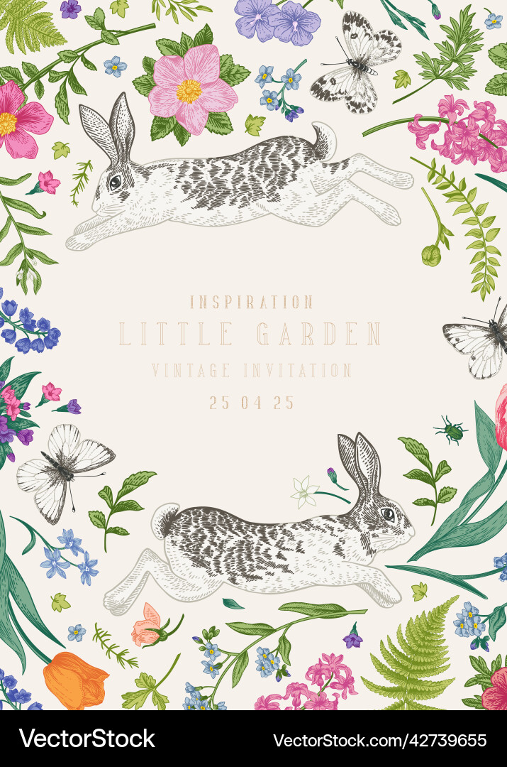 Frame with two rabbits Frame with two rabbits vector image