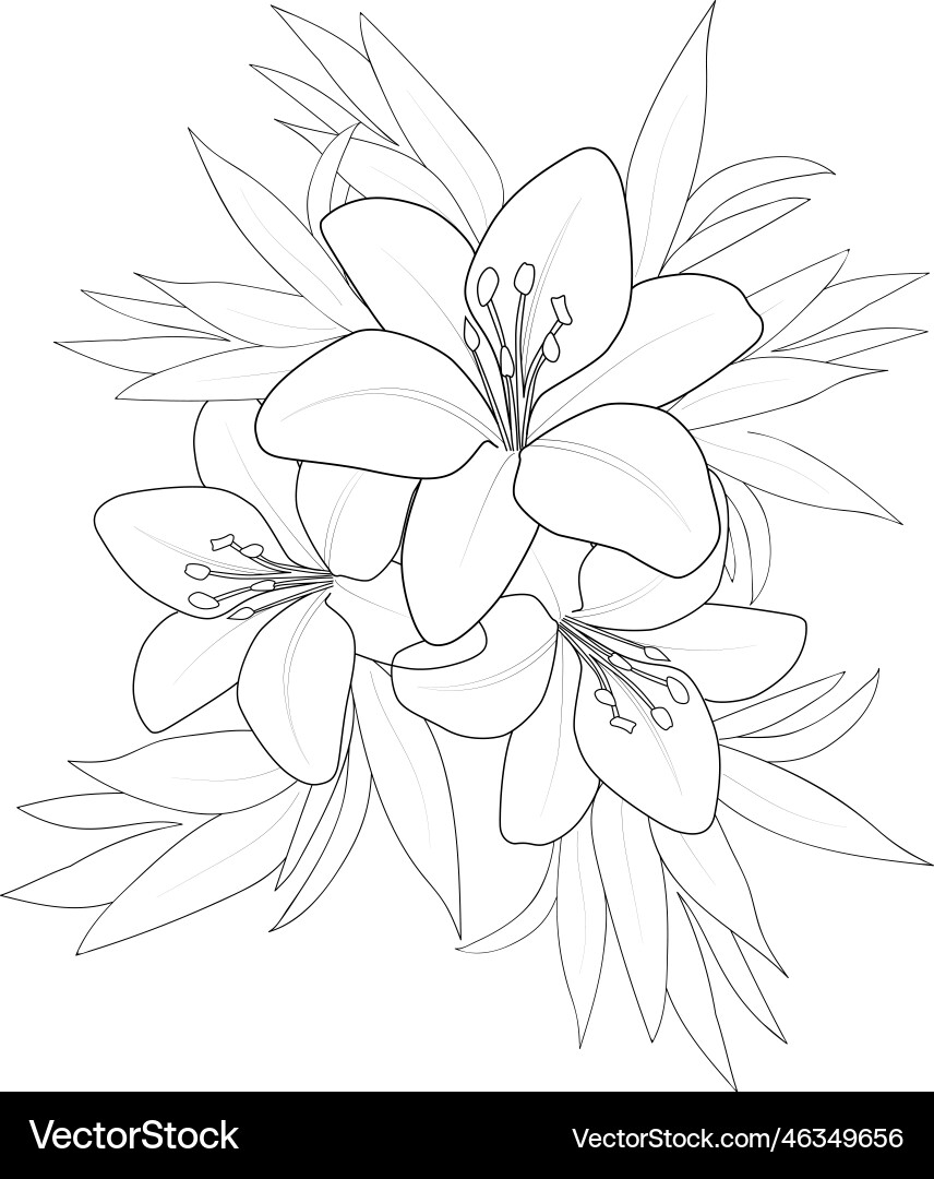 Lily drawing tattoo flower tattoos Royalty Free Vector Image
