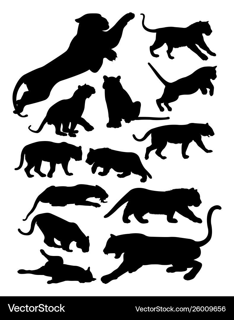 Tiger Silhouette vector image