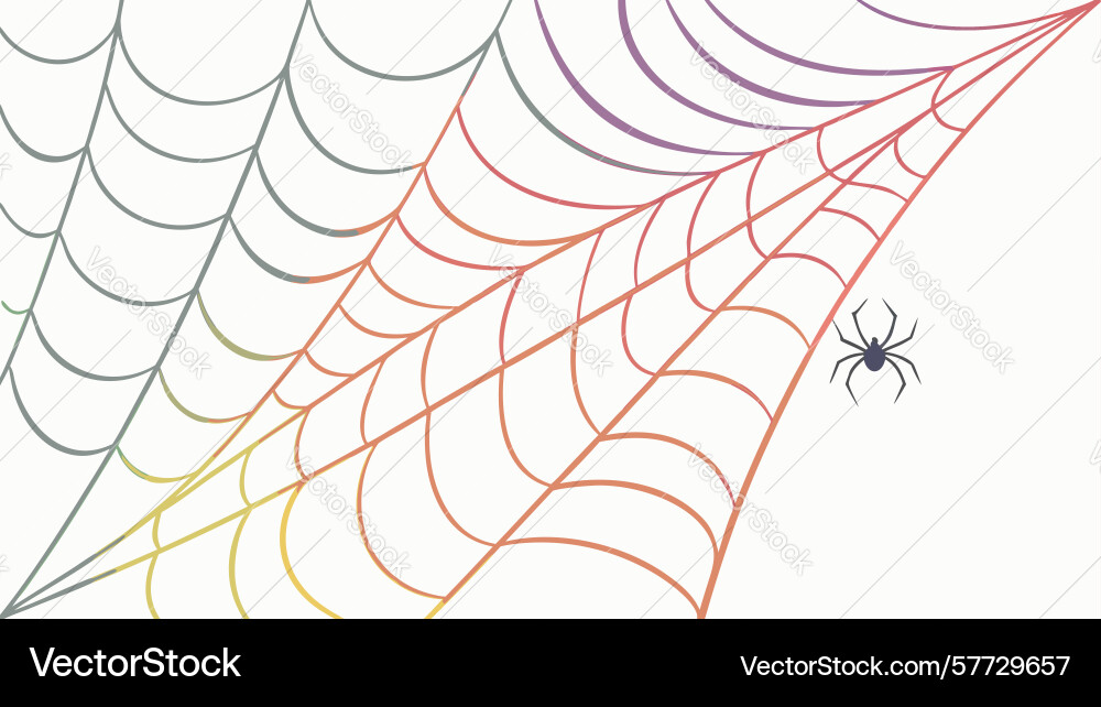 Abstract spider web pattern with spider for vector image