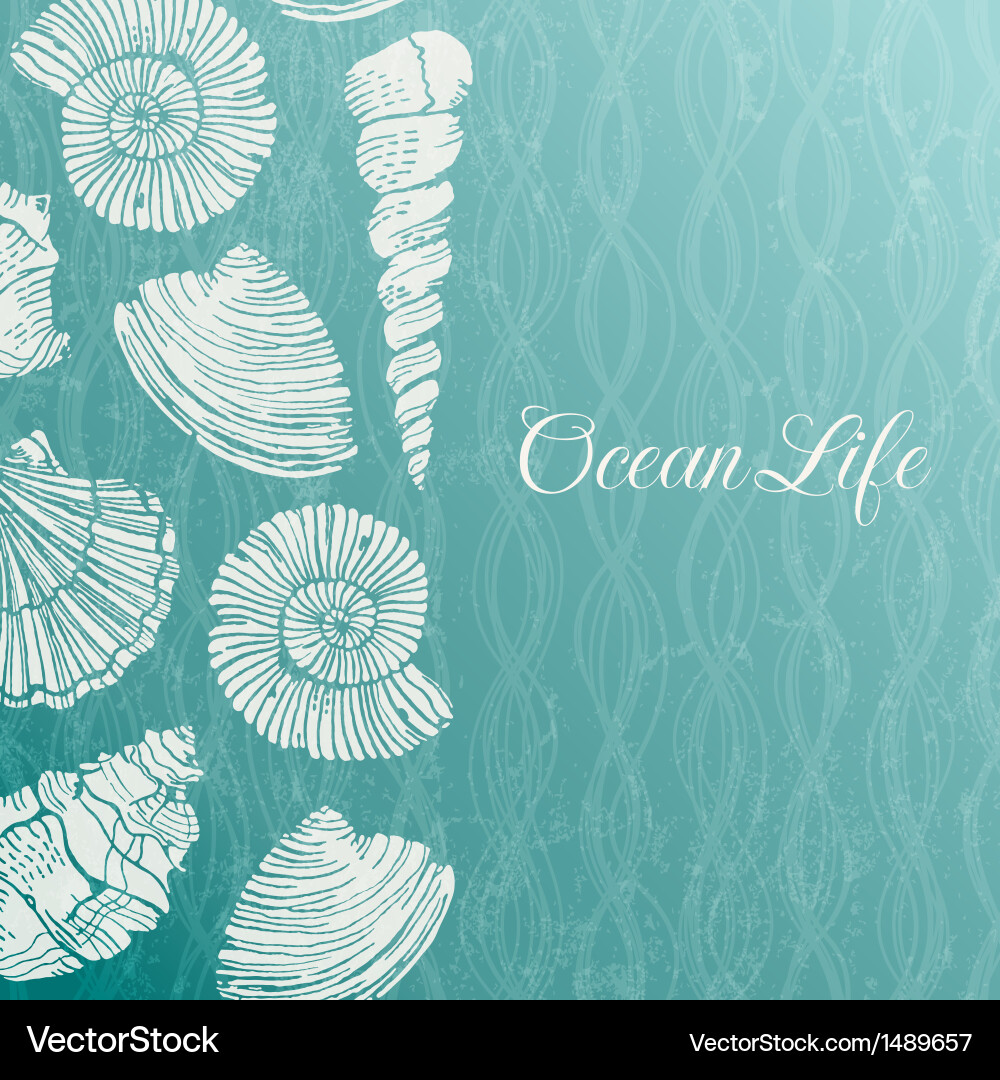 Sea Shells Background vector image