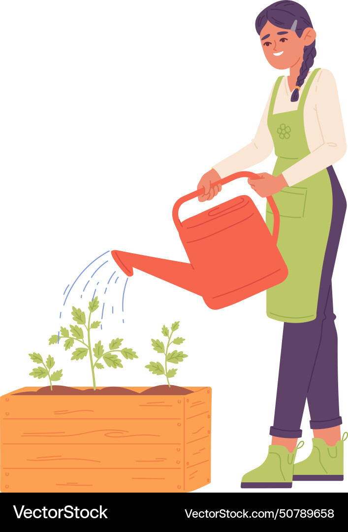 Plant seedlings in wooden box gardener watering vector image