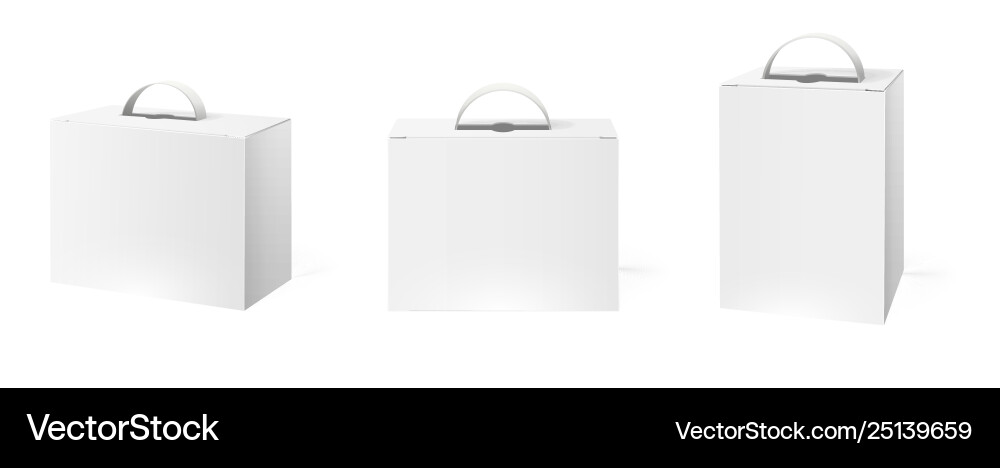 Box case with handle package boxes mockup blank Box case with handle package boxes mockup blank vector image
