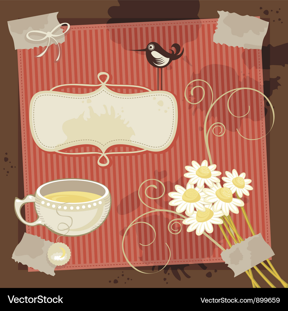 Chamomile background Vector Image