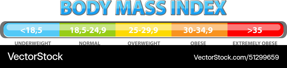 Color-coded bmi categories and ranges Color-coded bmi categories and ranges vector image
