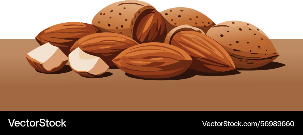 Almonds with shell and kernel close up in brown Almonds with shell and kernel close up in brown Vector Image