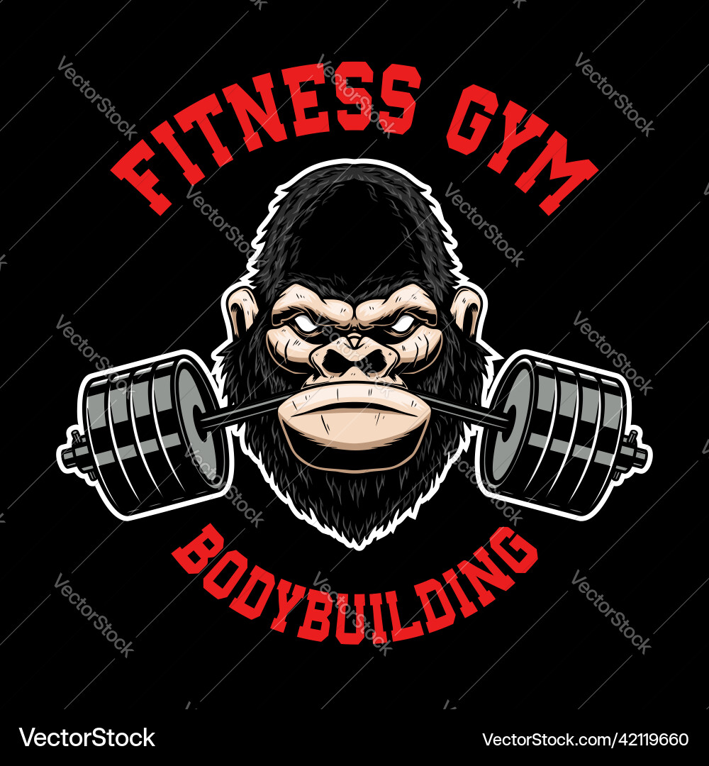 Gorilla with gym barbell in mouth design element Gorilla with gym barbell in mouth design element vector image