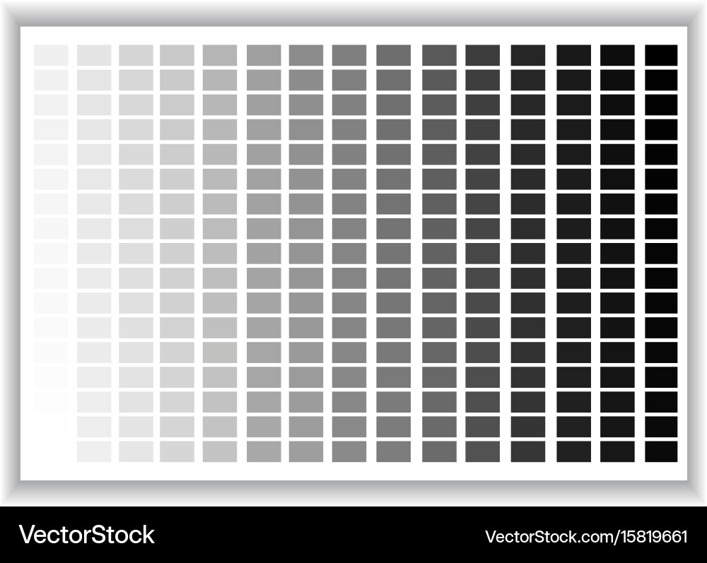 Grey Color Gradient Chart vector image