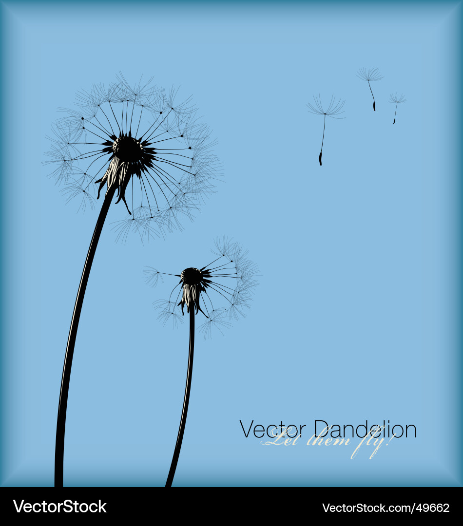 Dandelion Seeds in Flight vector image