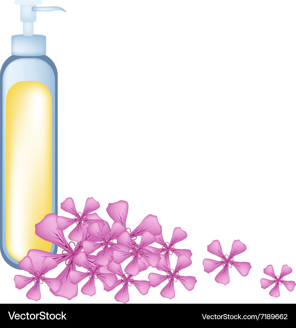 Essential oil and geraniumor pelargonium graveolen Vector Image