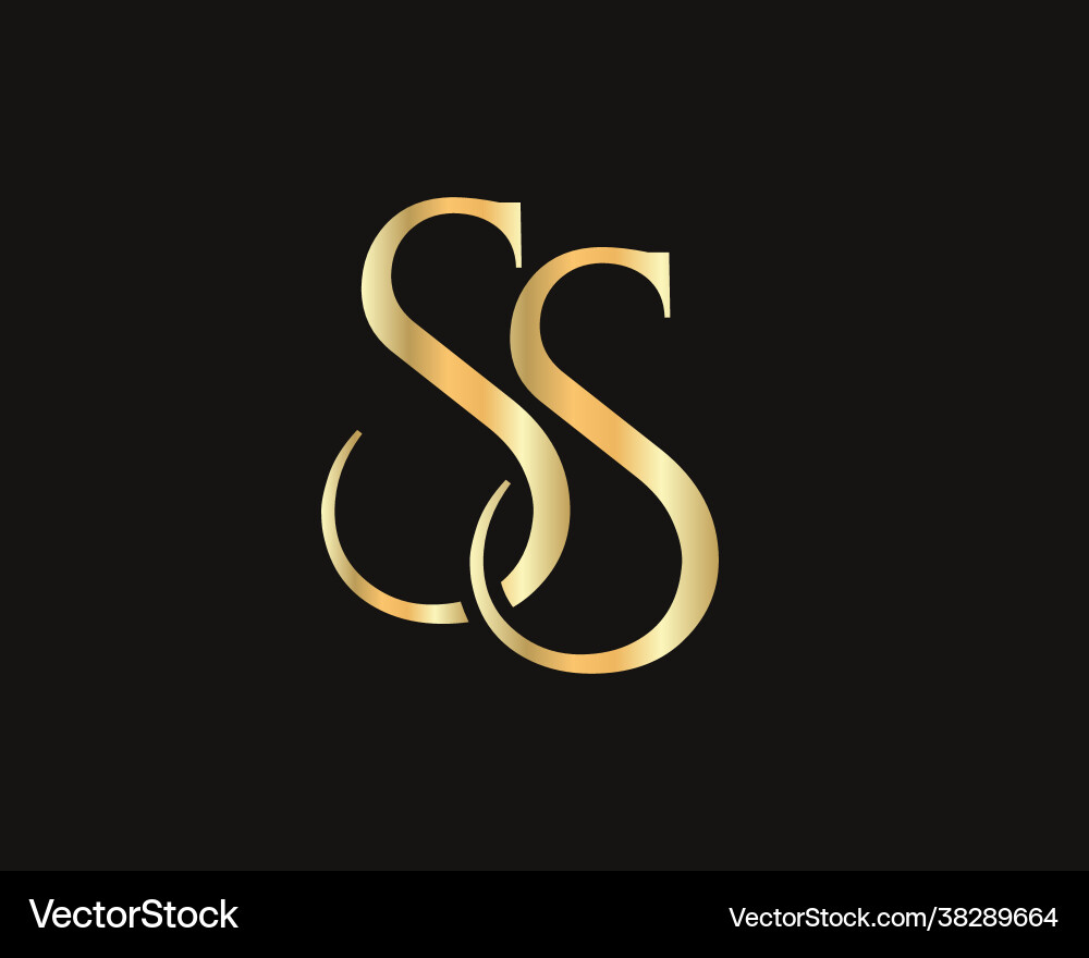 Initial ss letter logo design template vector image