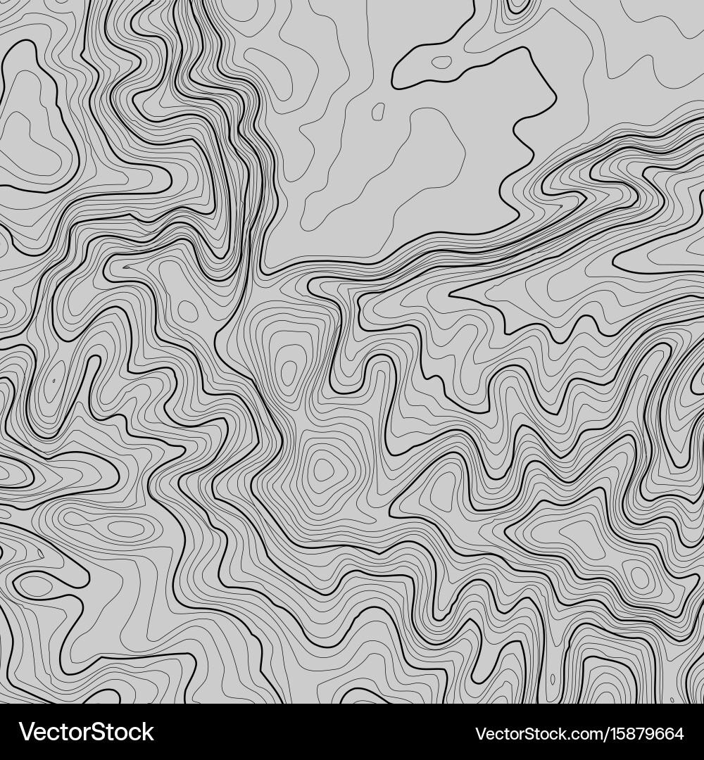 Topographic map background with space for copy Vector Image