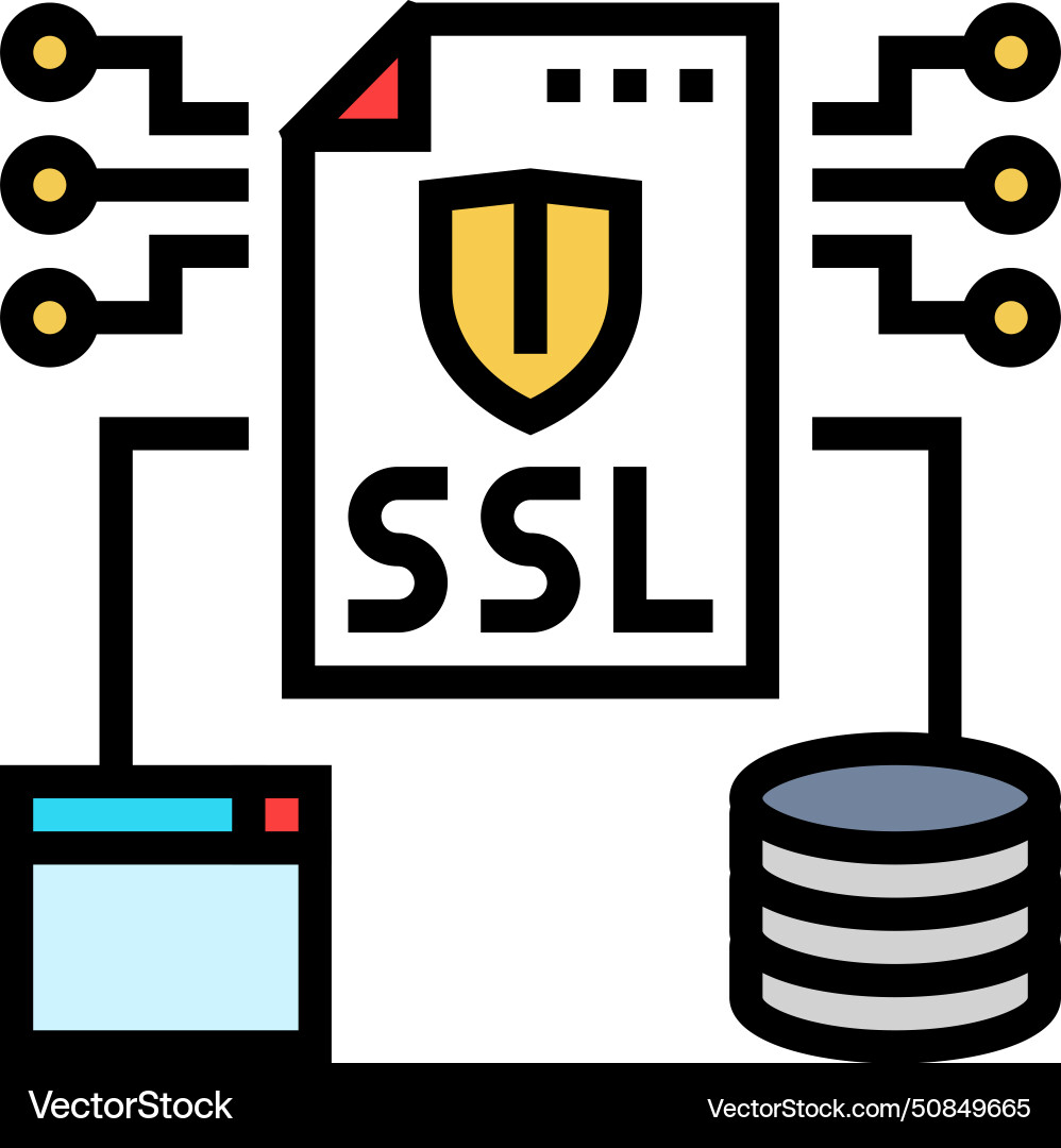 Ssl secure sockets layer seo color icon Ssl secure sockets layer seo color icon vector image