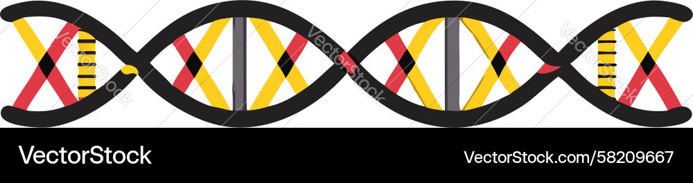 Dynamic DNA Helix Structure Vector Image