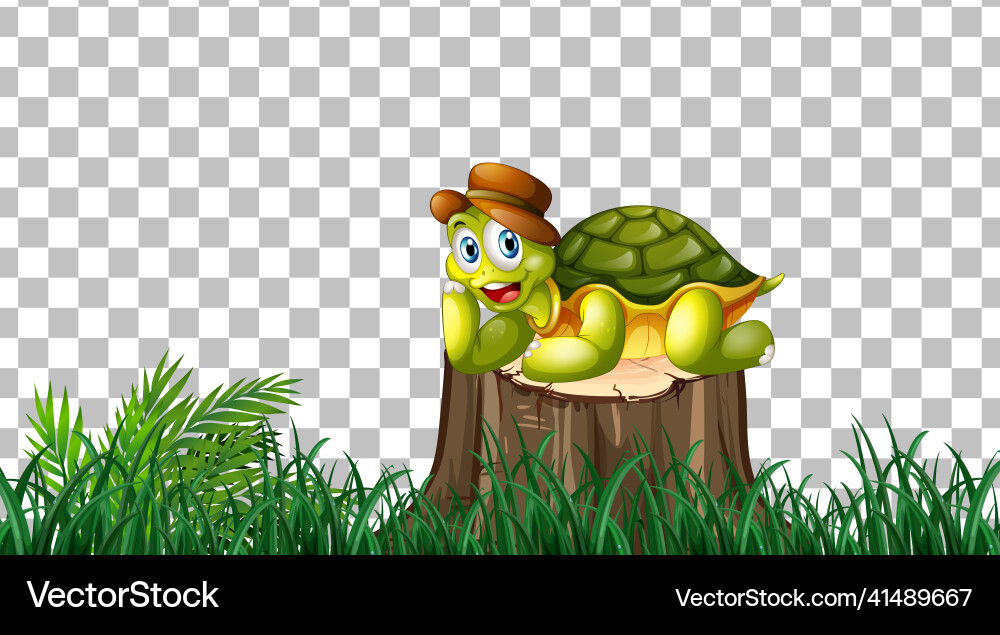 Turtle on the grass field transparent vector image