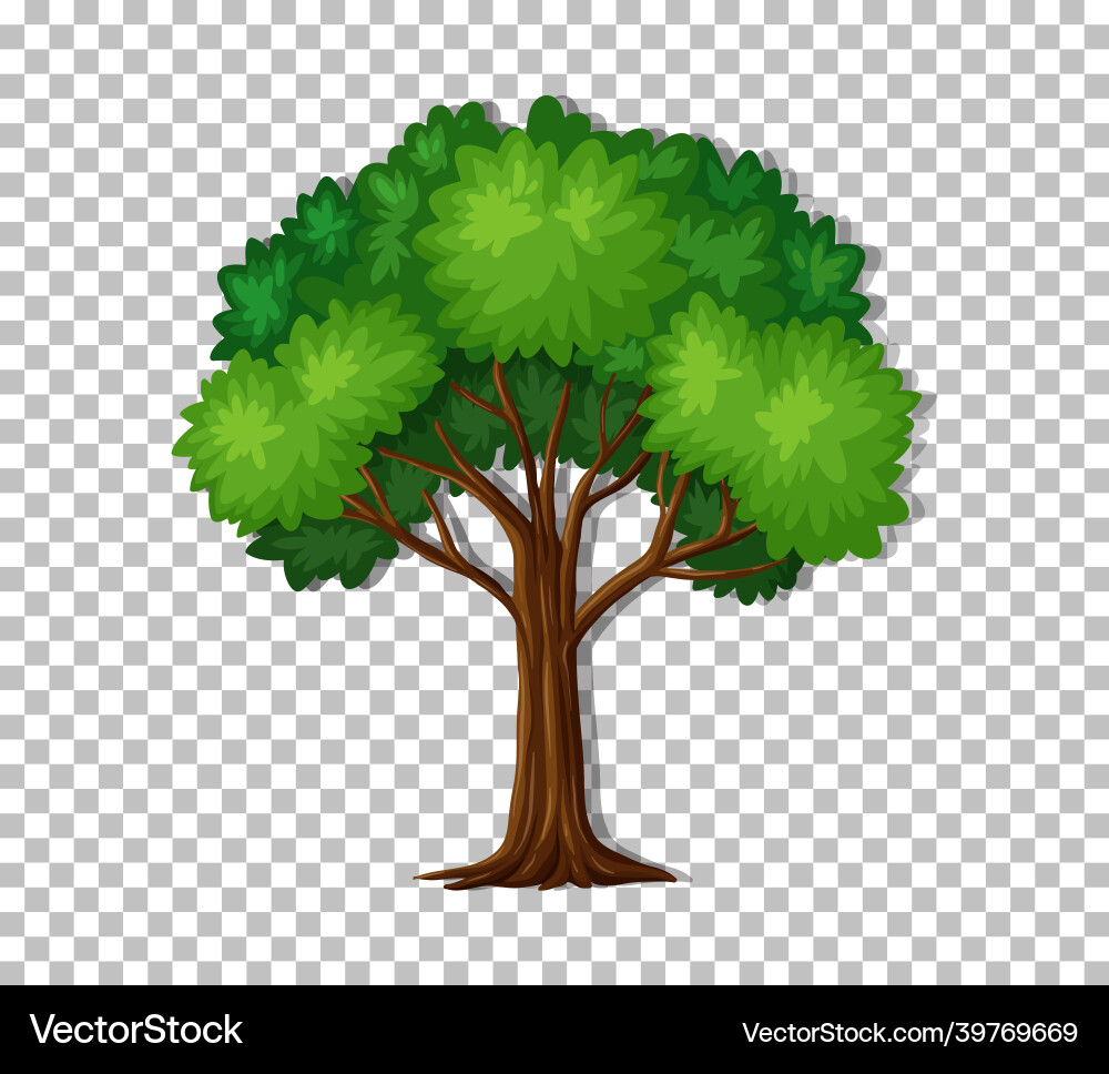 Tree on transparent background Vector Image