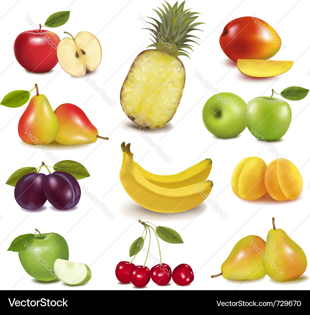 Assortment of Fresh Fruits Vector Image