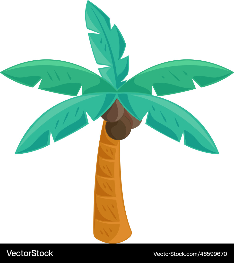 Tropical Palm Tree Coconut Royalty Free Vector Image
