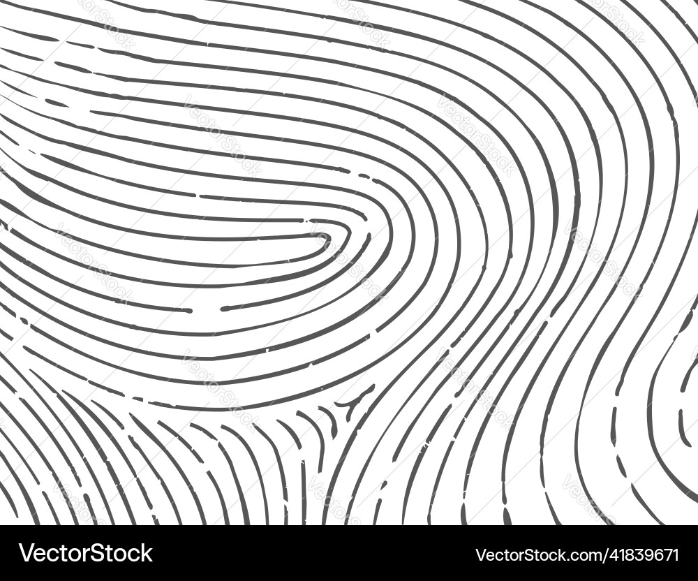 Fingerprint Pattern - White Background Vector Image