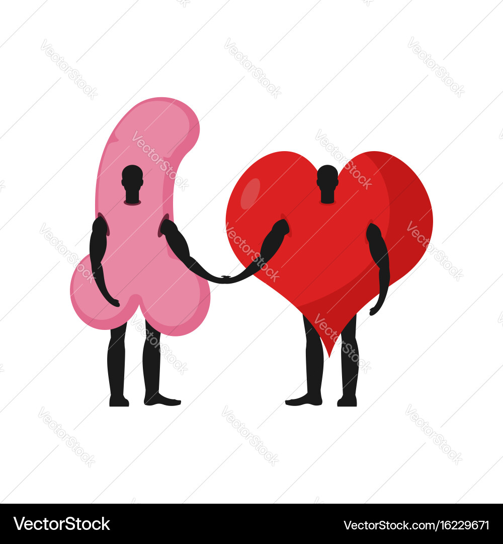 Heart and Penis Friendship vector image
