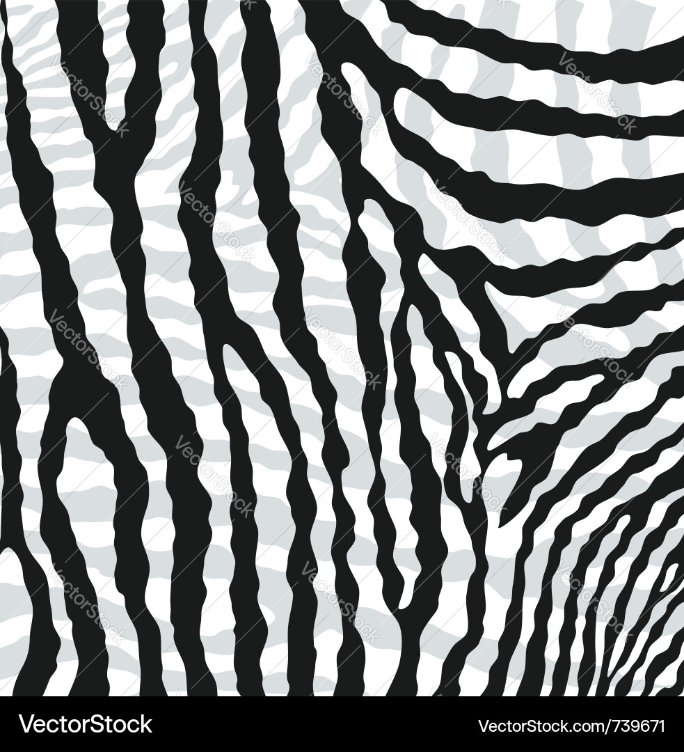 Zebra Hide Pattern - Stripped Texture vector image