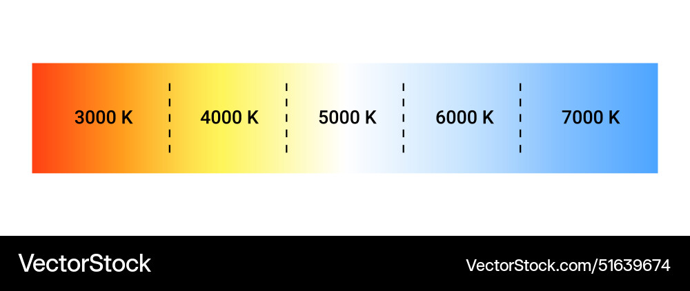 Kelvin temperature scale chart gradient Kelvin temperature scale chart gradient vector image