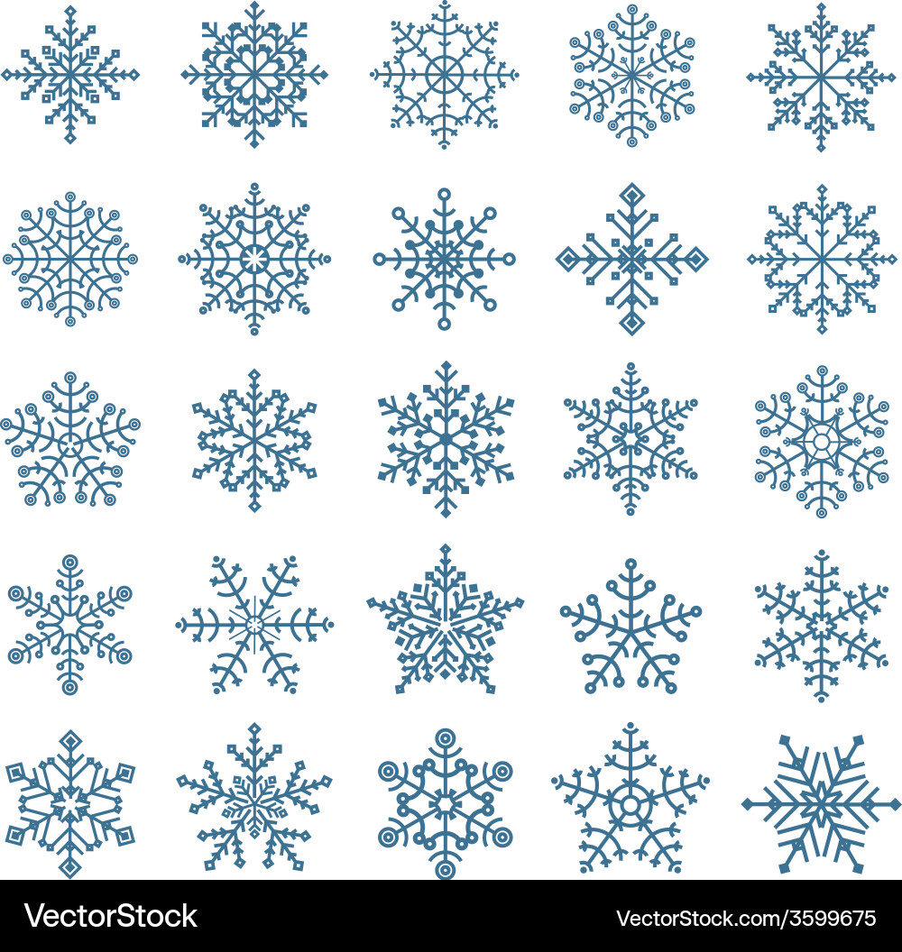 Different snowflake elements set vector image