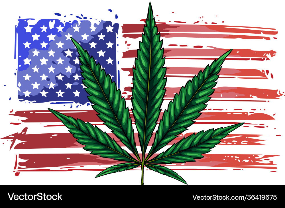 USA Hemp Flag Emblem Vector Image