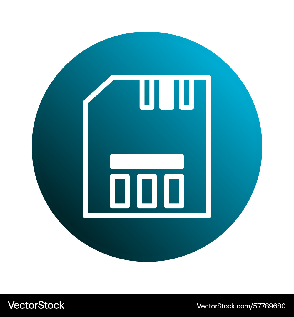 Icon of a secure digital memory card vector image