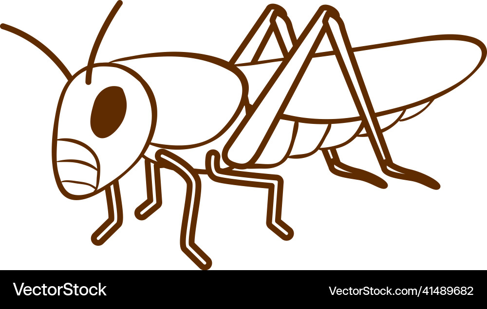 Grasshopper in doodle simple style on white vector image