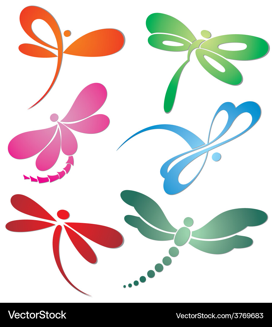 Dragonfly logo design vector image