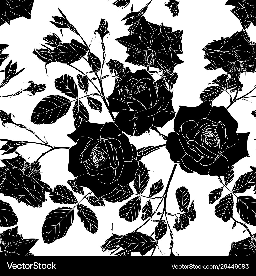 Hand drawn line black roses flowers Hand drawn line black roses flowers vector image