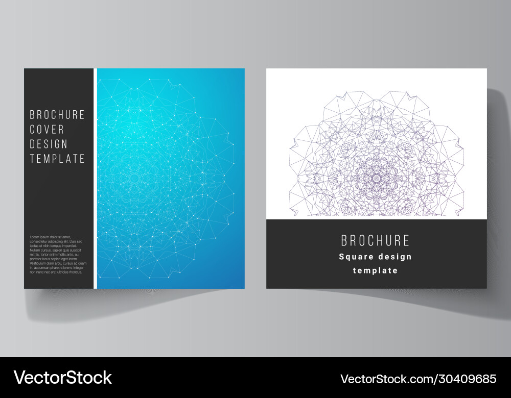 Minimal layout two square Vector Image