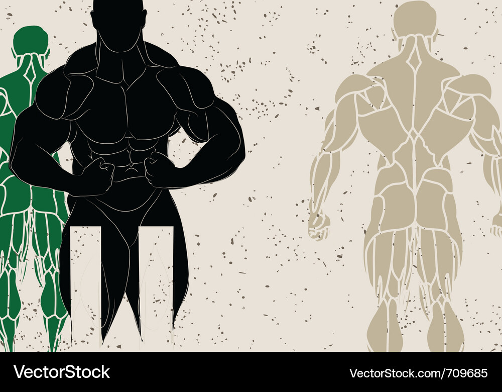 Muskulär Man Silhouette Vektorbild