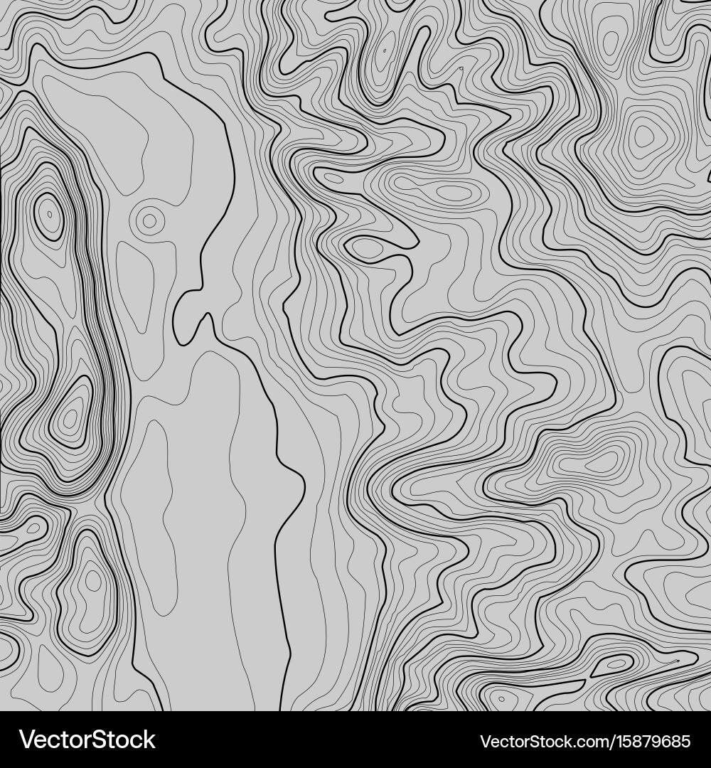 Topographic map background with space for copy vector image