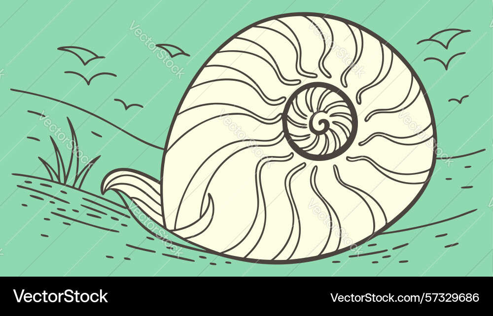 Ammonite fossil on ground with snail ancient vector image