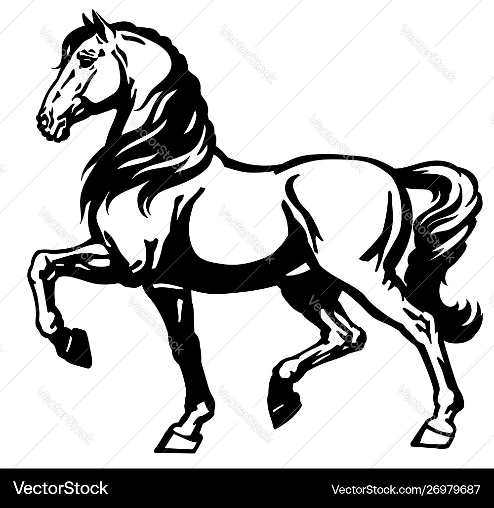 Horse Side View - Black and White Vector Image