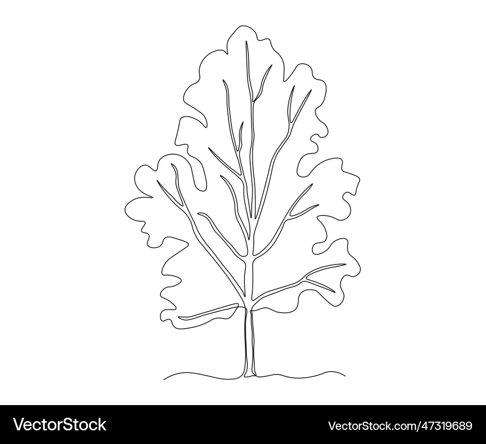 Abstract Line Tree Sketch vector image