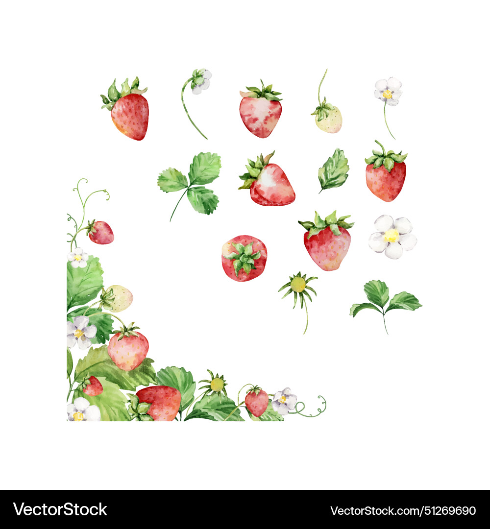 Frame with watercolor straberries and leaves vector image