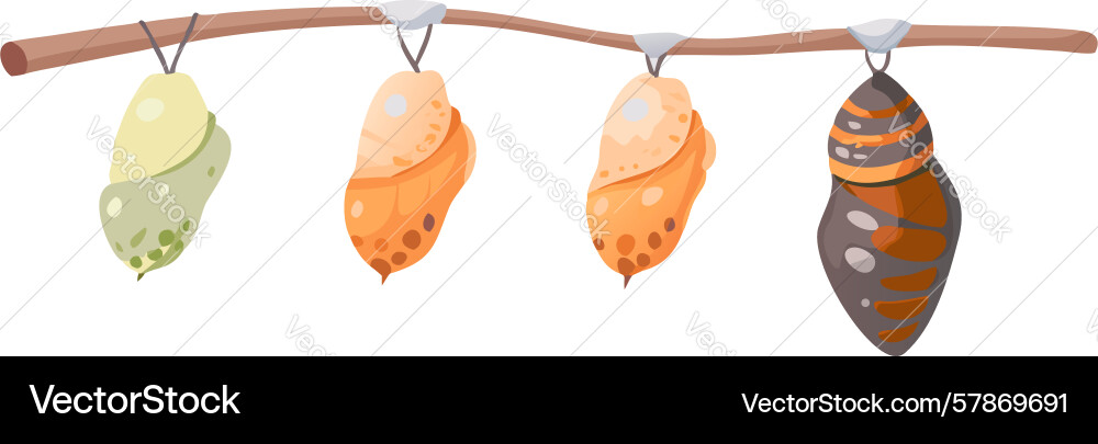 Three chrysalises on branch design generative ai Vector Image